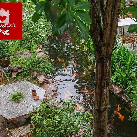 Mama'S Homestay Ha Giang Exterior foto